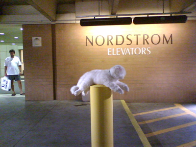 Kitty, Providence Place Garage, Providence, R.I.