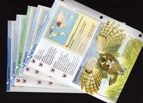 Upcycled Wildlife Fact File Envelopes available at www.crostinivs.etsy.com