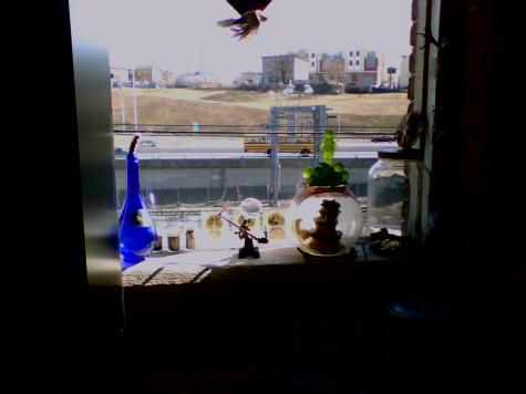 The view from my studio in Providence - Federal Hill across Route 6.