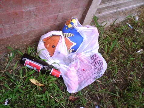 Lost and Found: "Bear Hits the Bottle" - Ives Street, Fox Point, Providence